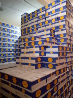 Thé premium en sachets
